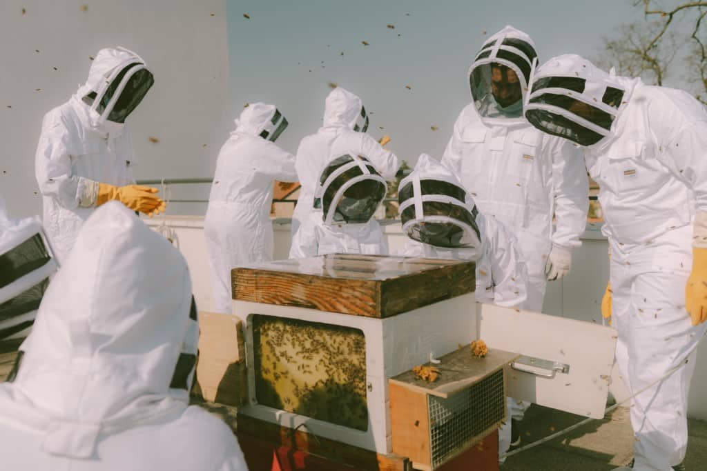 Les jeunes de l'IME et du centre aéré autour d'une ruche
