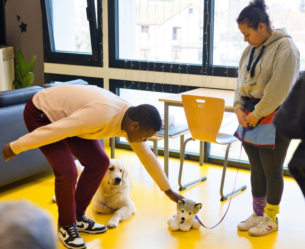 Photo enfant de l'IME Excelsior interagit avec un chien