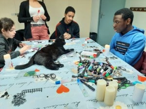 Photo :  Jeunes de l'IME Excelsior dans un atelier de médiation animal
